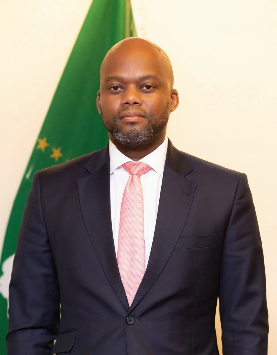 H.E. Wamkele Mene